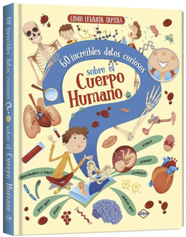 El cuerpo humano